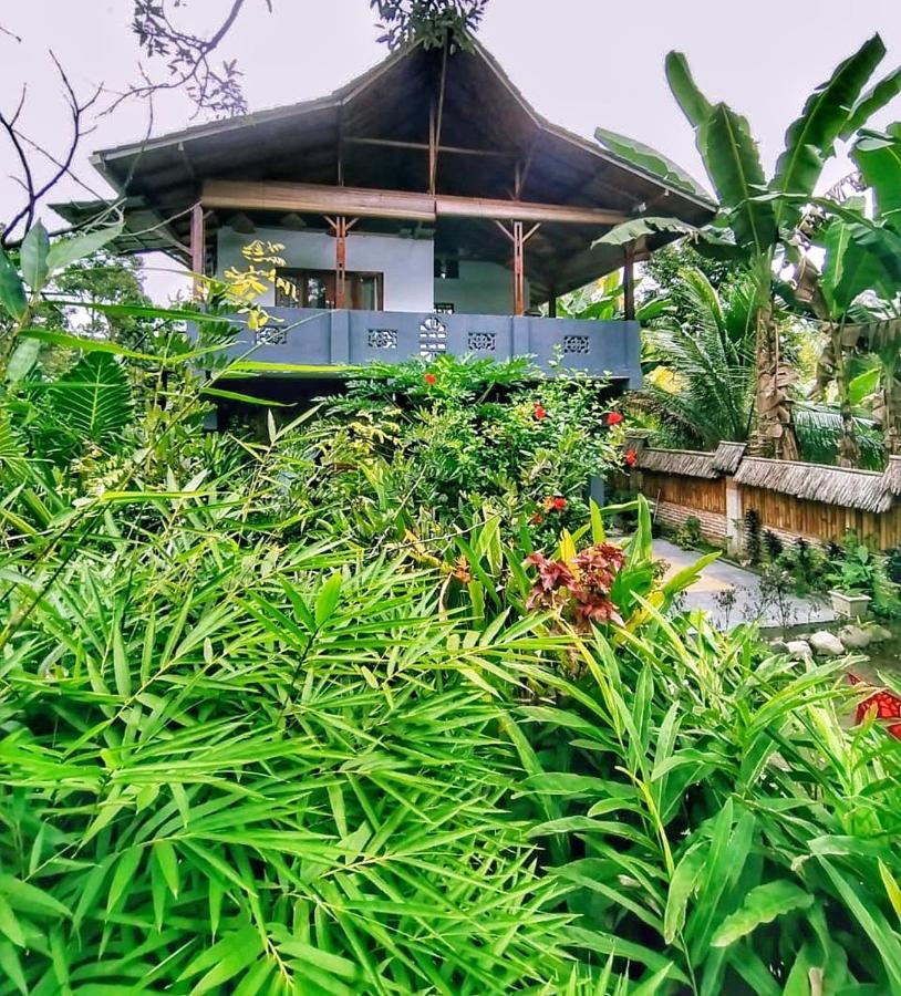 Sumatra Orangutan Discovery Villa Bukit Lawang Bagian luar foto