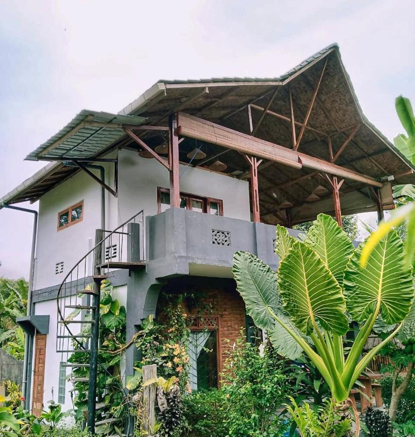 Sumatra Orangutan Discovery Villa Bukit Lawang Bagian luar foto