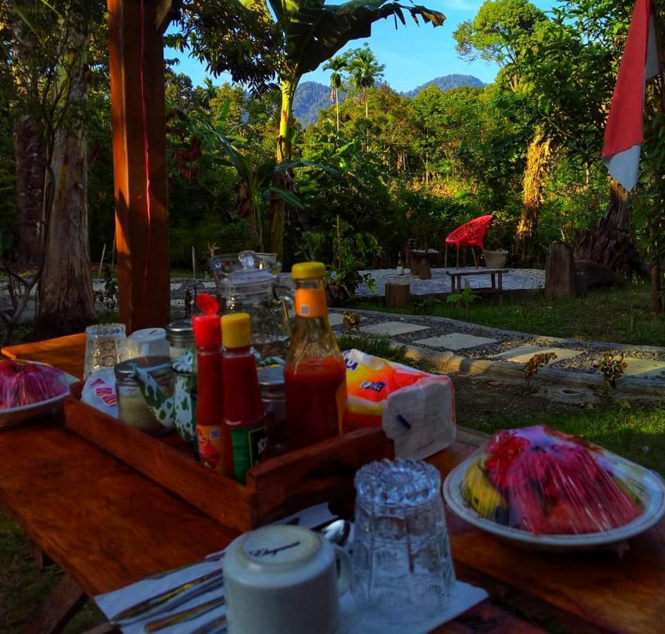 Sumatra Orangutan Discovery Villa Bukit Lawang Bagian luar foto