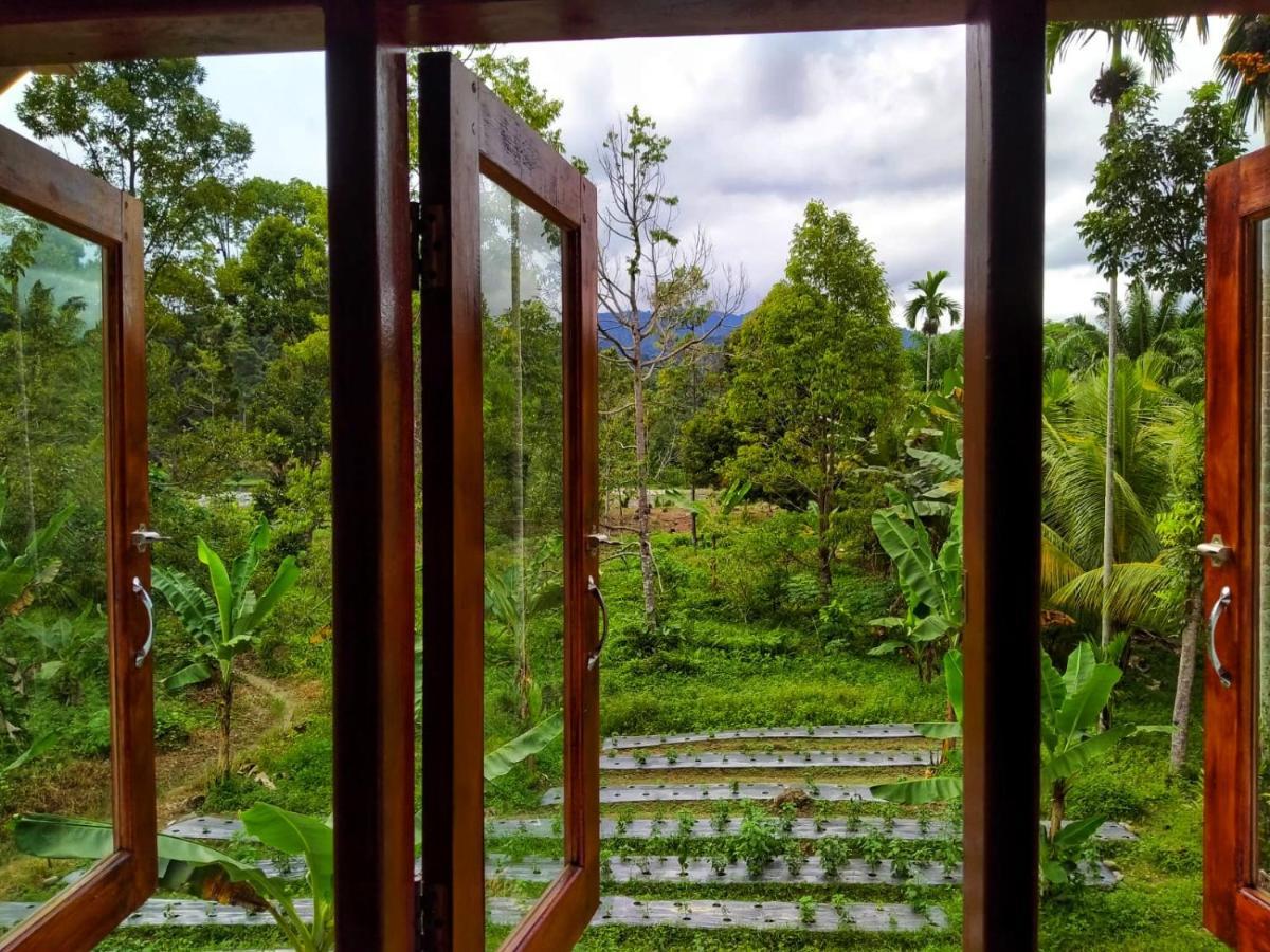 Sumatra Orangutan Discovery Villa Bukit Lawang Bagian luar foto