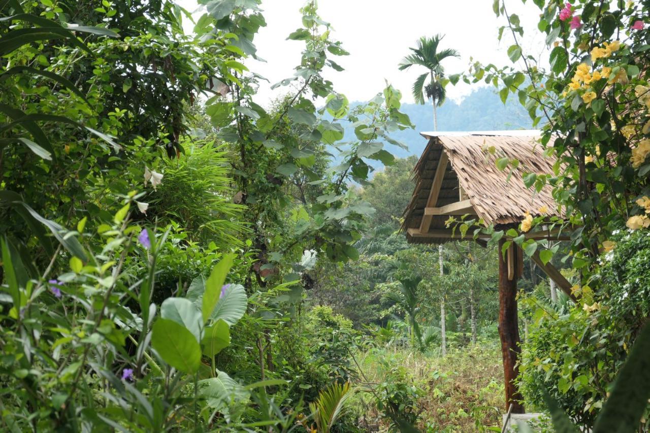 Sumatra Orangutan Discovery Villa Bukit Lawang Bagian luar foto