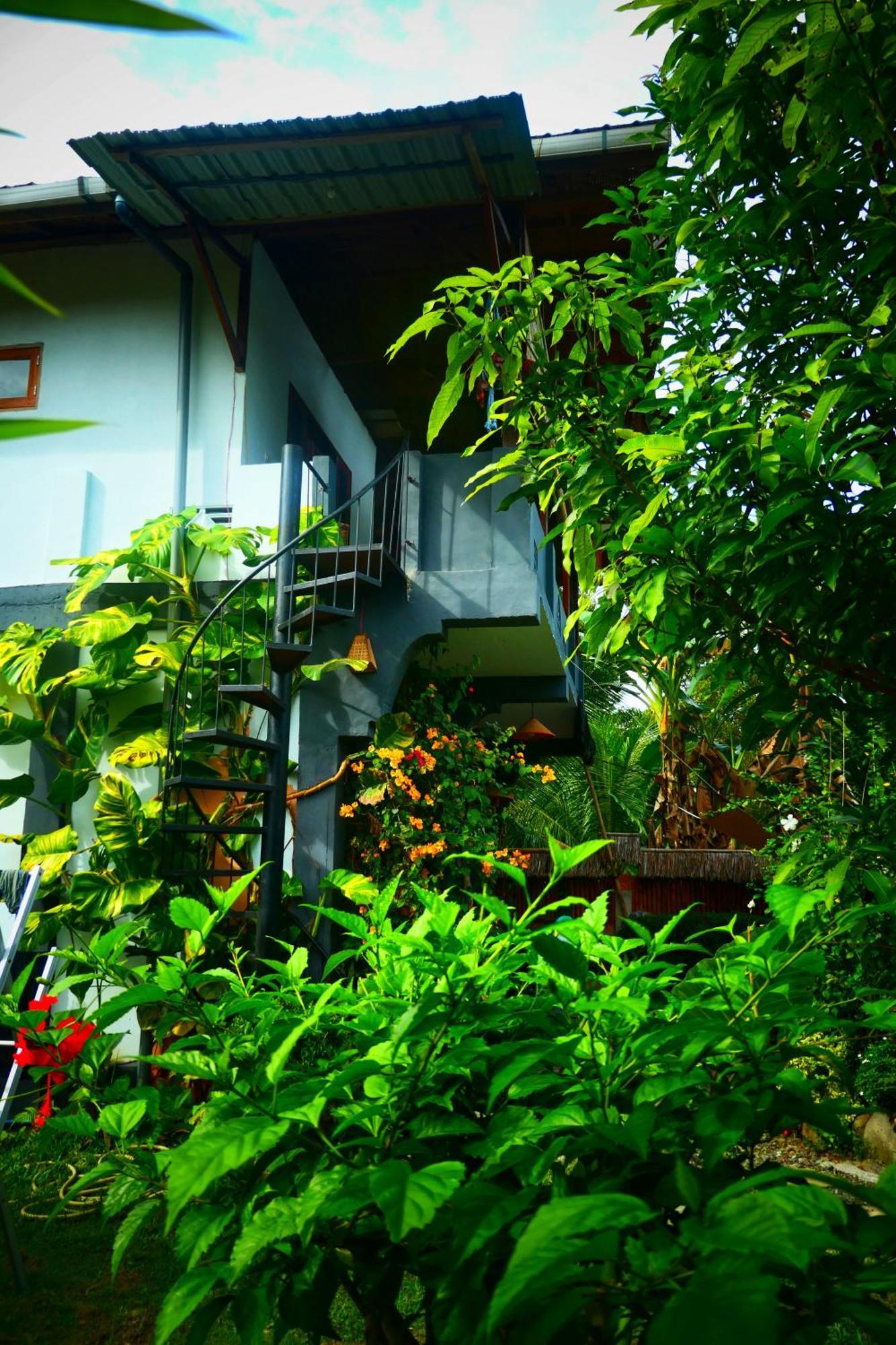 Sumatra Orangutan Discovery Villa Bukit Lawang Ruang foto